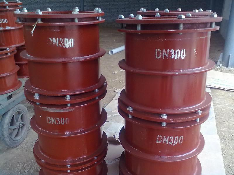 駱盈大口徑<a href=http://www.m.yw25je.com target=_blank class=infotextkey>防水套管</a>